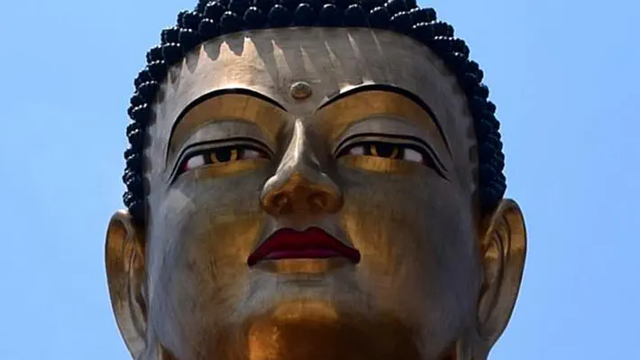 Coleção de artigos e traduções sobre budismo por Padma Dorje.